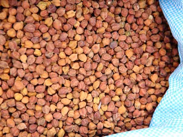 ಹುರಳಿ ಕಾಳು - Horse Gram