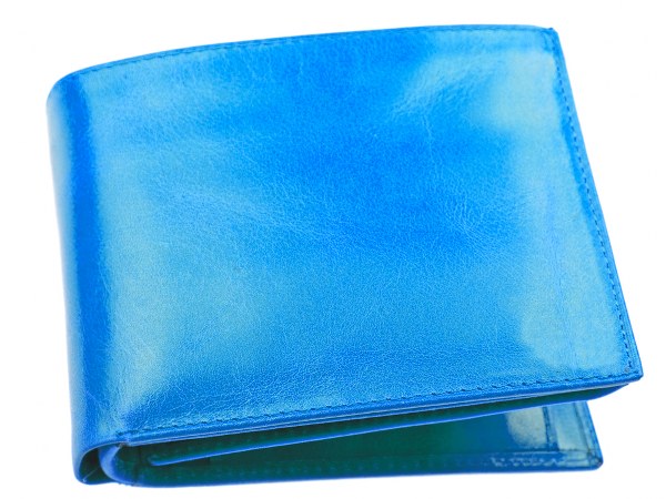 ನೀಲಿ ಬಣ್ಣದ ಪರ್ಸ್