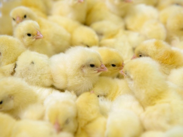 ವಾಸ್ತವ #5