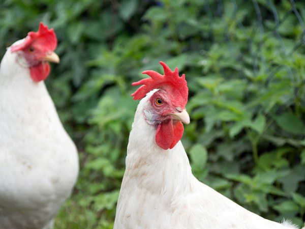 ವಾಸ್ತವ #4