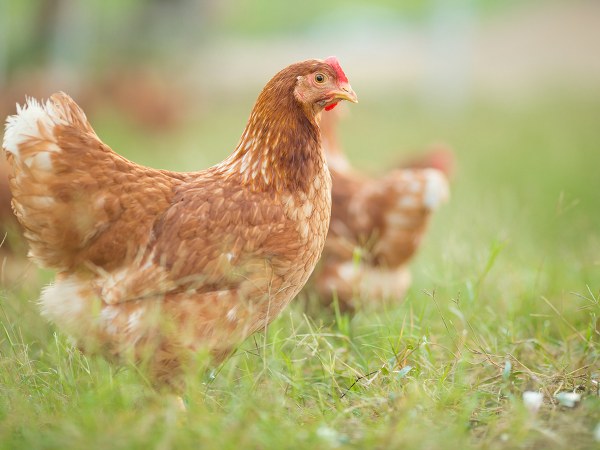 ವಾಸ್ತವ #2