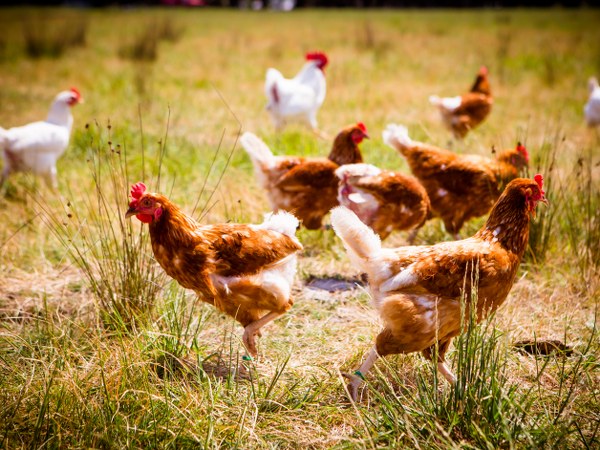 ವಾಸ್ತವ #3