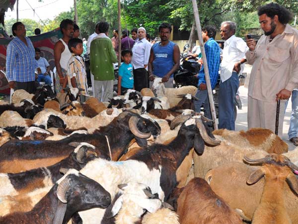 ಬಾಕ್ರೀದ್ ಹಬ್ಬದ ಮಹತ್ವ 