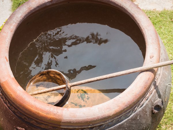 ಜೀವರಾಸಾಯನಿಕ ಕ್ರಿಯೆ ಉತ್ತಮಗೊಳಿಸುತ್ತದೆ