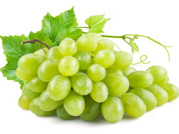 ದ್ರಾಕ್ಷಿ