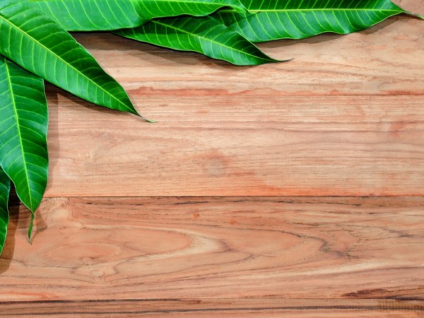 ಸುಟ್ಟಗಾಯಗಳಿಗೆ