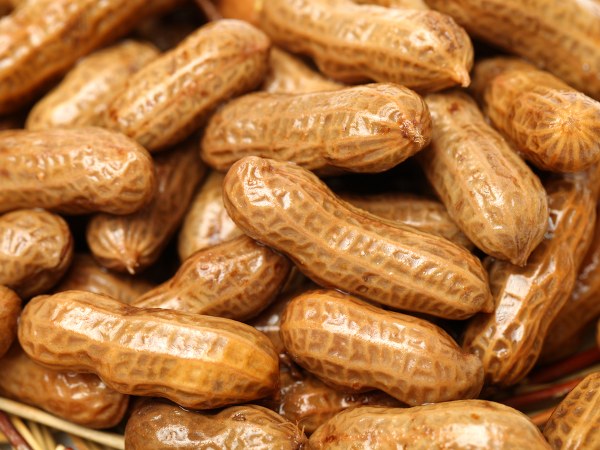 ಹೊಟ್ಟೆಯ ಕ್ಯಾನ್ಸರ್ ನಿಂದ ಕಾಪಾಡುತ್ತದೆ