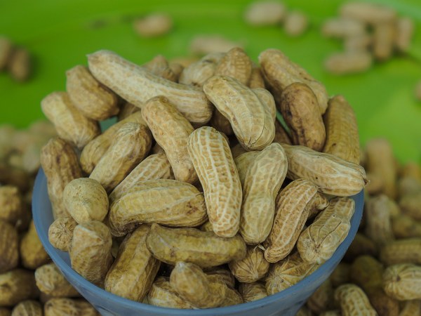 ಕೆಟ್ಟ ಕೊಲೆಸ್ಟ್ರಾಲ್ ಕಡಿಮೆಗೊಳಿಸುತ್ತದೆ