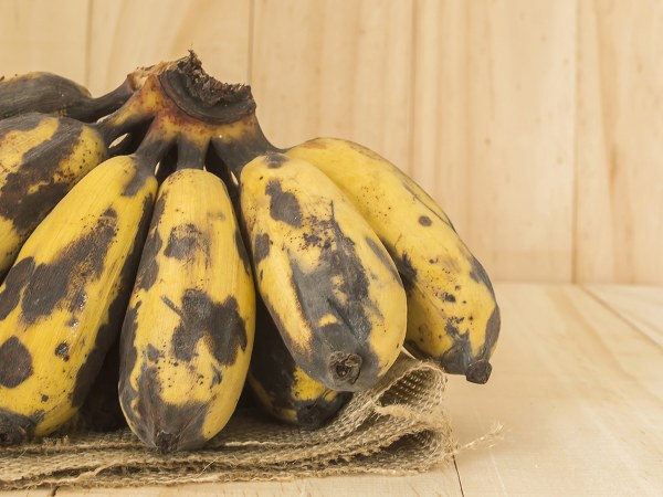 ಪೋಷಕಾಂಶ ಸಿಗುವುದು