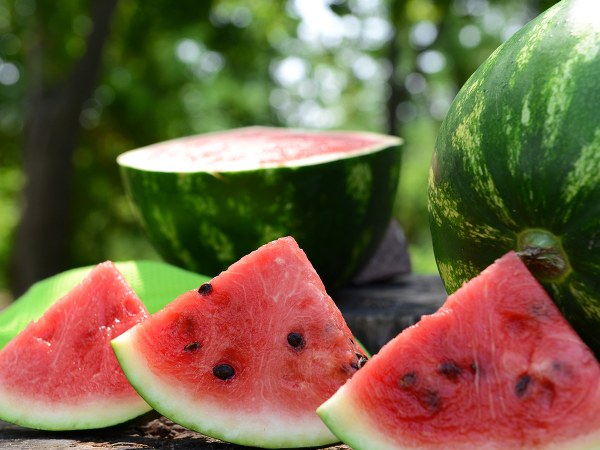 ಅಗತ್ಯವಿರುವ ಸಾಮಾಗ್ರಿಗಳು