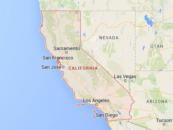 A Man Accidentally Adopted A Wolf! 