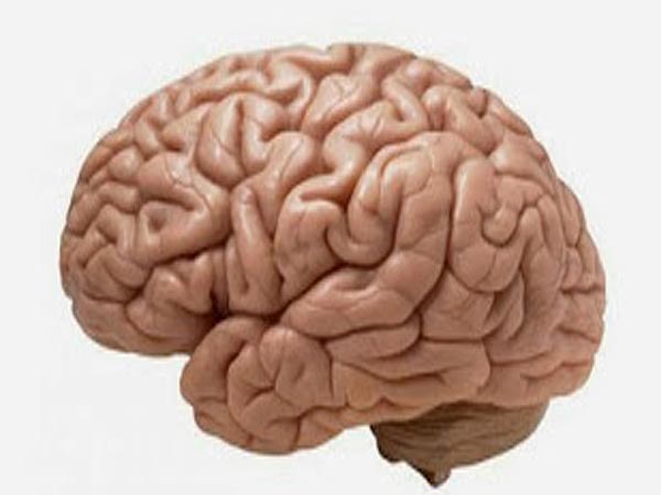 ಸಕ್ಕರೆಯ ಬದಲಿಗೆ ಬಳಸುವ ಆಸ್ಪರ್ಟೇಮ್ ಸಿಹಿಕಾರಕ