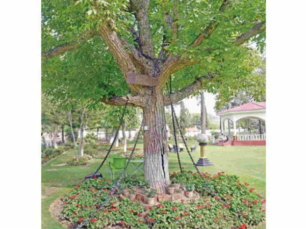 1898ರಿಂದ ಕಟ್ಟಿ ಹಾಕಲಾಗಿದೆ 1898ರಿಂದ ಕಟ್ಟಿ ಹಾಕಲಾಗಿದೆ