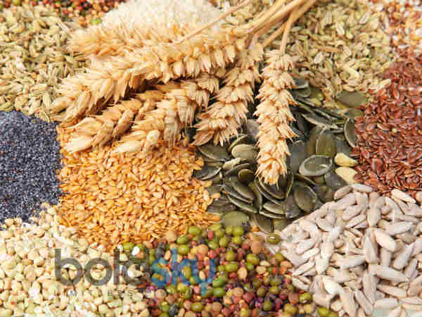 ನಿಮ್ಮ ಆಹಾರದಲ್ಲಿ ಇಡಿಯ ಕಾಳುಗಳಿರಲಿ