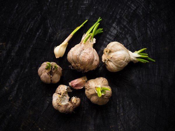 ಹೃದಯ ಸ್ತಂಭನವನ್ನು ತಡೆಗಟ್ಟುತ್ತದೆ