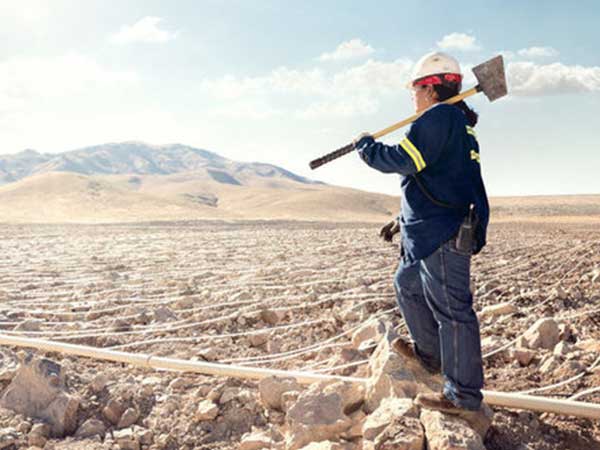 ಲೀಚ್ ಪ್ಯಾಡ್ ಎಂಬ ಸಾರಣೆಯಂತ್ರದ ಚಾಲಕಿ