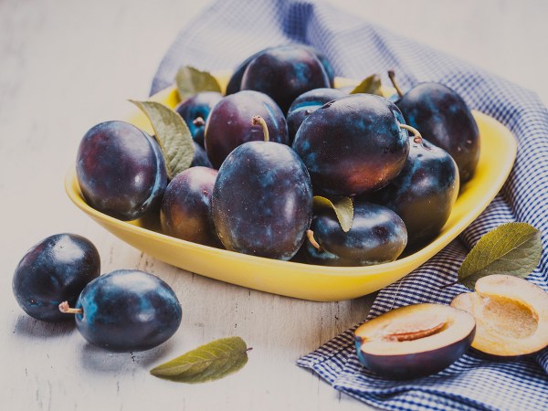 ಅಗತ್ಯವಿರುವ ಸಾಮಾಗ್ರಿಗಳು