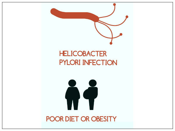 ಮಾಹಿತಿ #3 