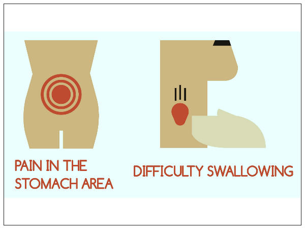 ಮಾಹಿತಿ #4 