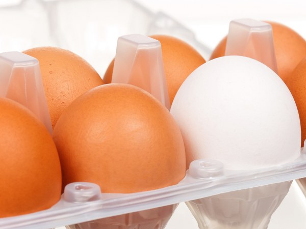 ಆರೋಗ್ಯಕ್ಕೆ ಮಾರಕ! 