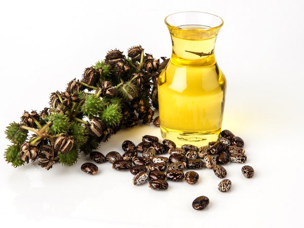 ವೃದ್ಧಾಪ್ಯನಿಯಂತ್ರಣಕ್ಕೆ! 