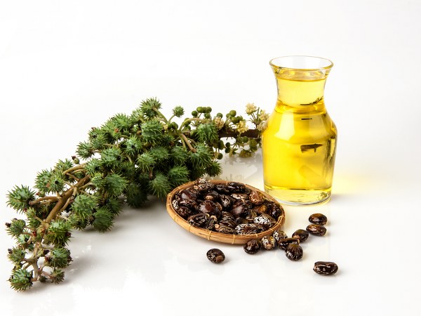 ಕೂದಲ ಆರೈಕೆಗೆ.... 