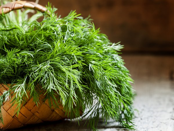 ಅಗತ್ಯವಿರುವ ಸಾಮಾಗ್ರಿಗಳು....