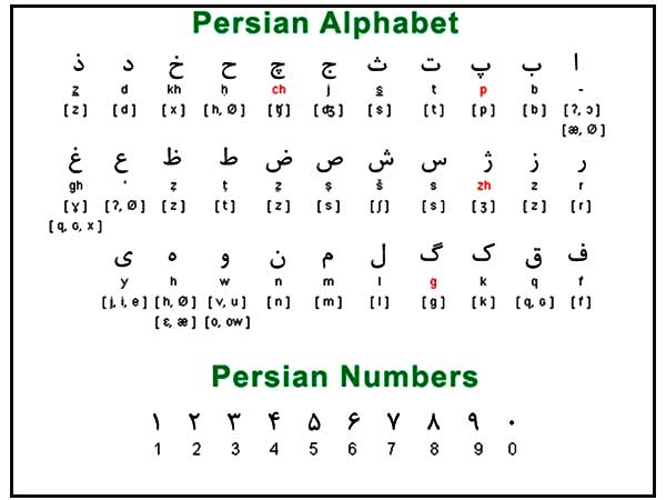 ಪರ್ಶಿಯನ್ ಪರ್ಶಿಯನ್