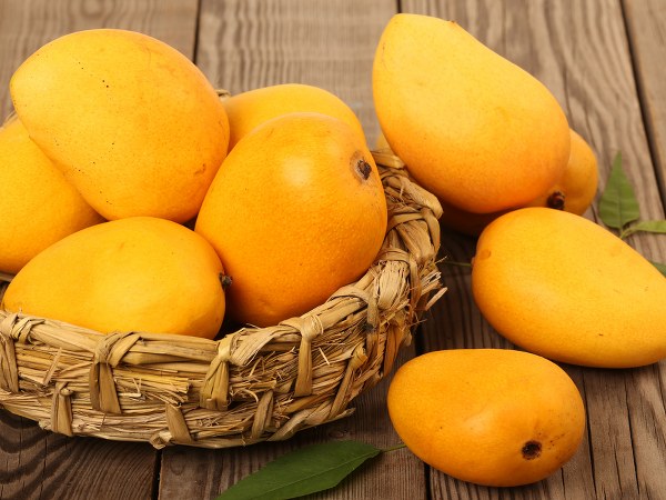 ಮಾವಿನಲ್ಲಿದೆ ವಿಟಮಿನ್ ಮತ್ತು ಖನಿಜಗಳ ಆಗರ