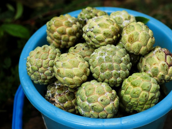 ಚರ್ಮದ ಸೋಂಕಿಗೆ