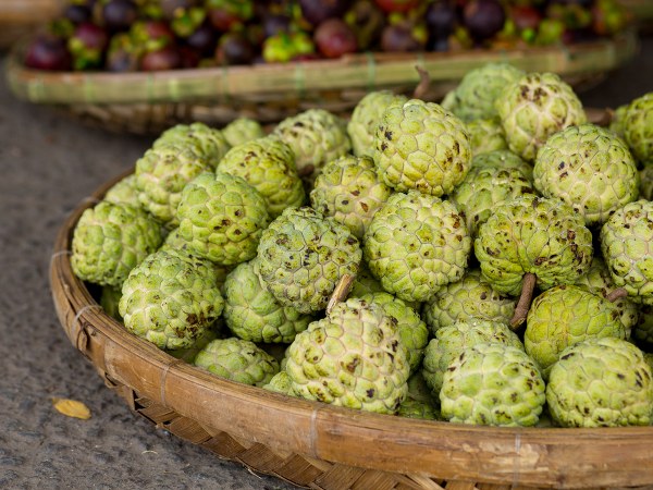 ಸೀತಾಫಲ ಹಣ್ಣು