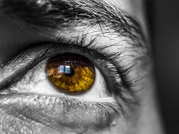 6. ತ್ರಿಭುಜಾಕಾರದ ಹುಬ್ಬುಗಳು 6. ತ್ರಿಭುಜಾಕಾರದ ಹುಬ್ಬುಗಳು