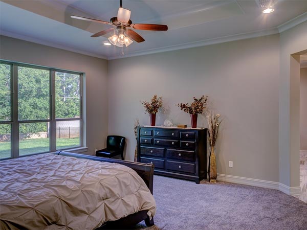 ನಸುಹಳದಿ ಕಂದುಬಣ್ಣ