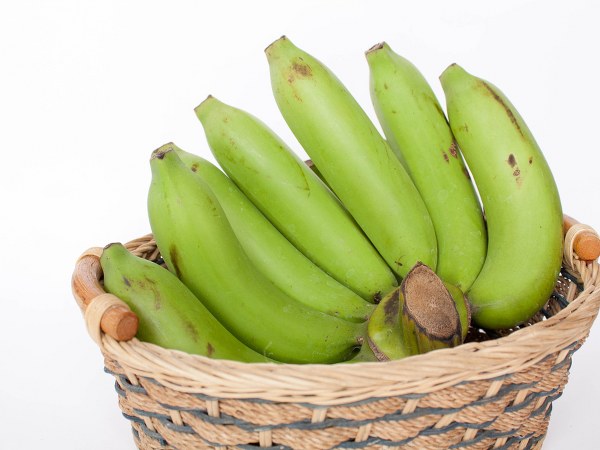 ಪ್ರೊಬಯೋಟಿಕ್ ಬ್ಯಾಕ್ಟೀರಿಯಾ