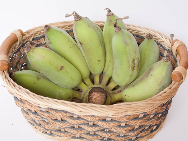 ಜೀರ್ಣಕ್ರಿಯೆಗಾಗಿ