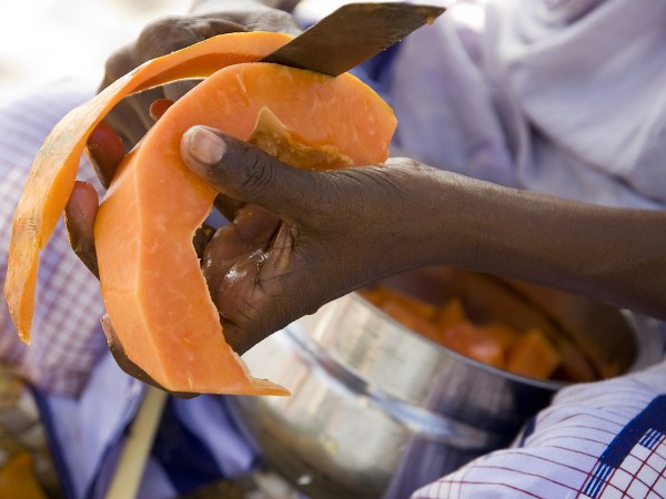 ಪಪ್ಪಾಯಿ ಸಿಪ್ಪೆ ಪಪ್ಪಾಯಿ ಸಿಪ್ಪೆ