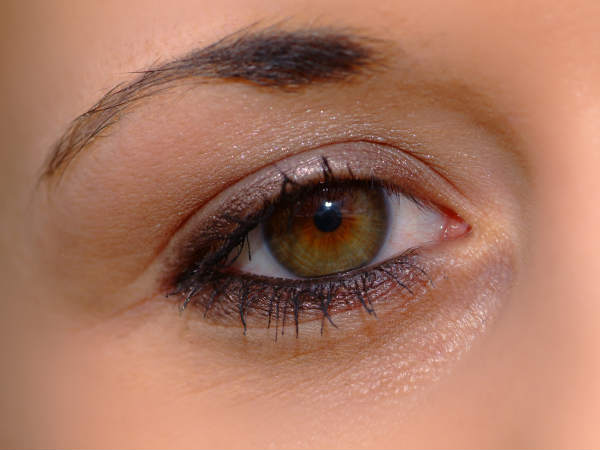 ಹೆಚ್ಚಿನ ಉದ್ದದ ಹುಬ್ಬುಗಳು