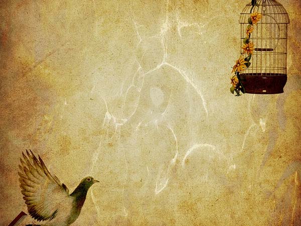 ಕರ್ಮದ ಚಕ್ರ