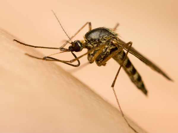 ರಕ್ತದಲ್ಲಿರುವ ಸಕ್ಕರೆ ಮಟ್ಟದಲ್ಲಿ ಏರಿಳಿತ