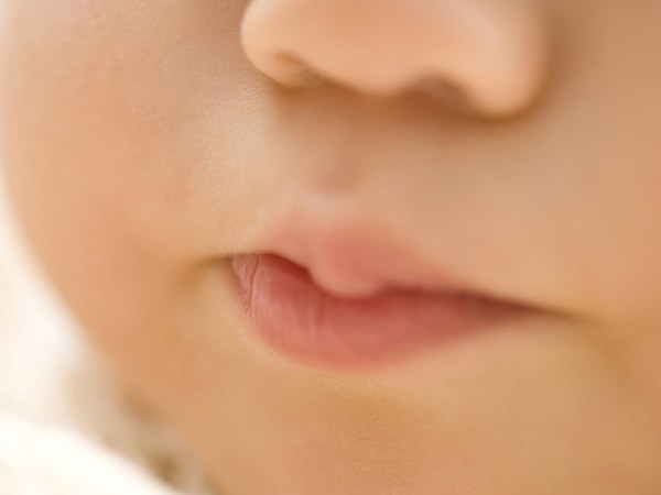 ಸಣ್ಣ ಮೂಗು