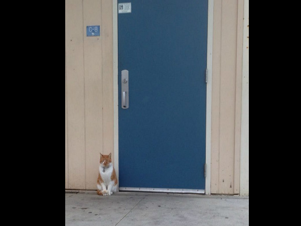 ಒಮ್ಮೆ ಶಿಕ್ಷಕರಿಂದ ಶಿಕ್ಷೆಗೆ ಒಳಪಟ್ಟಿತ್ತು! 