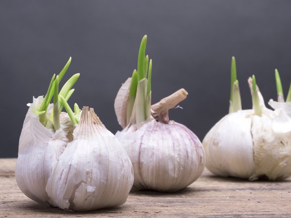 ವಾಸ್ತವಾಂಶ #7 