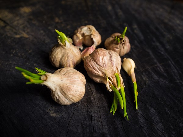 ವಾಸ್ತವಾಂಶ #6