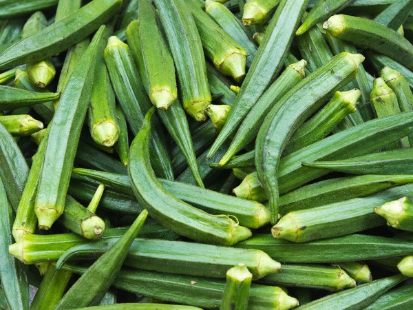 ಅಸ್ತಮಾ ರೋಗಿಗಳಿಗೆ