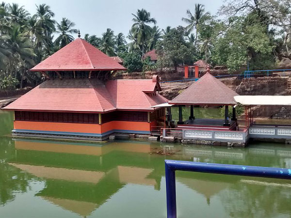 ಮೊಸಳೆಯ ವಿಚಿತ್ರ ಹುಟ್ಟು