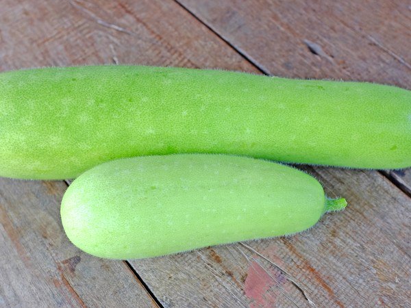 ಪ್ರಯೋಜನ #4