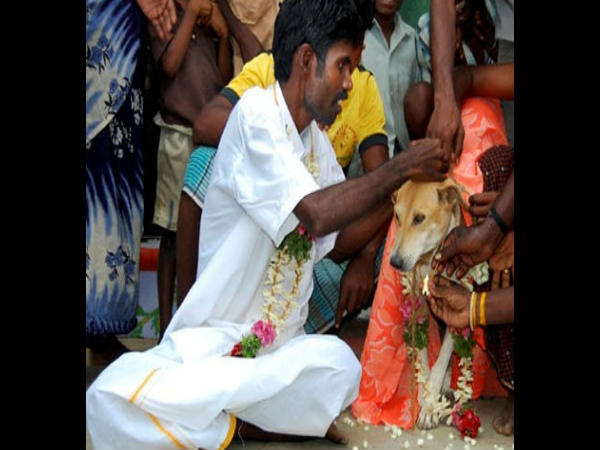 ಮದುವೆಗೆ ಕಾರಣ