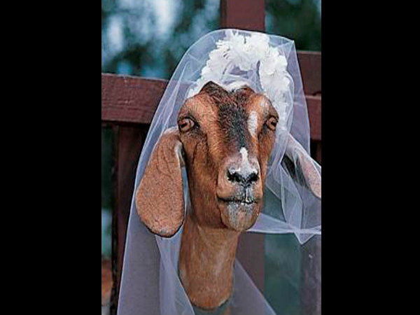 2006ರಲ್ಲಿ ಸುಡಾನ್ ನ ವ್ಯಕ್ತಿ