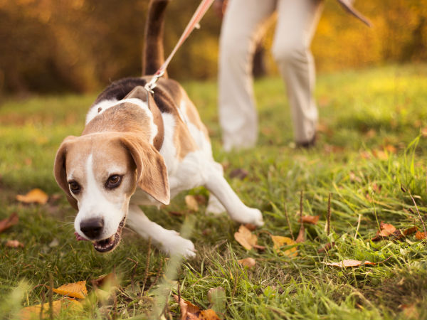 ಸೇಲ್ವ ಎಂಬ ಯುವಕನ ಮದುವೆಯ ಕಥೆ 