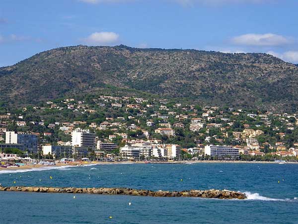 ಸರ್ಫೌನೆಕ್ಸ್